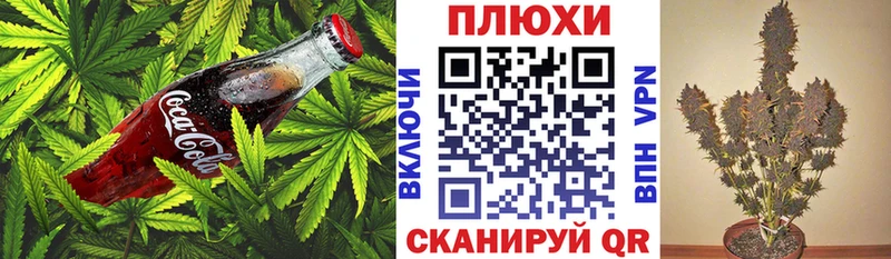 Cannafood конопля  Купить где  Кондрово 