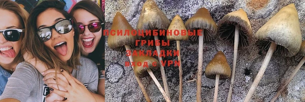 jwh Богданович